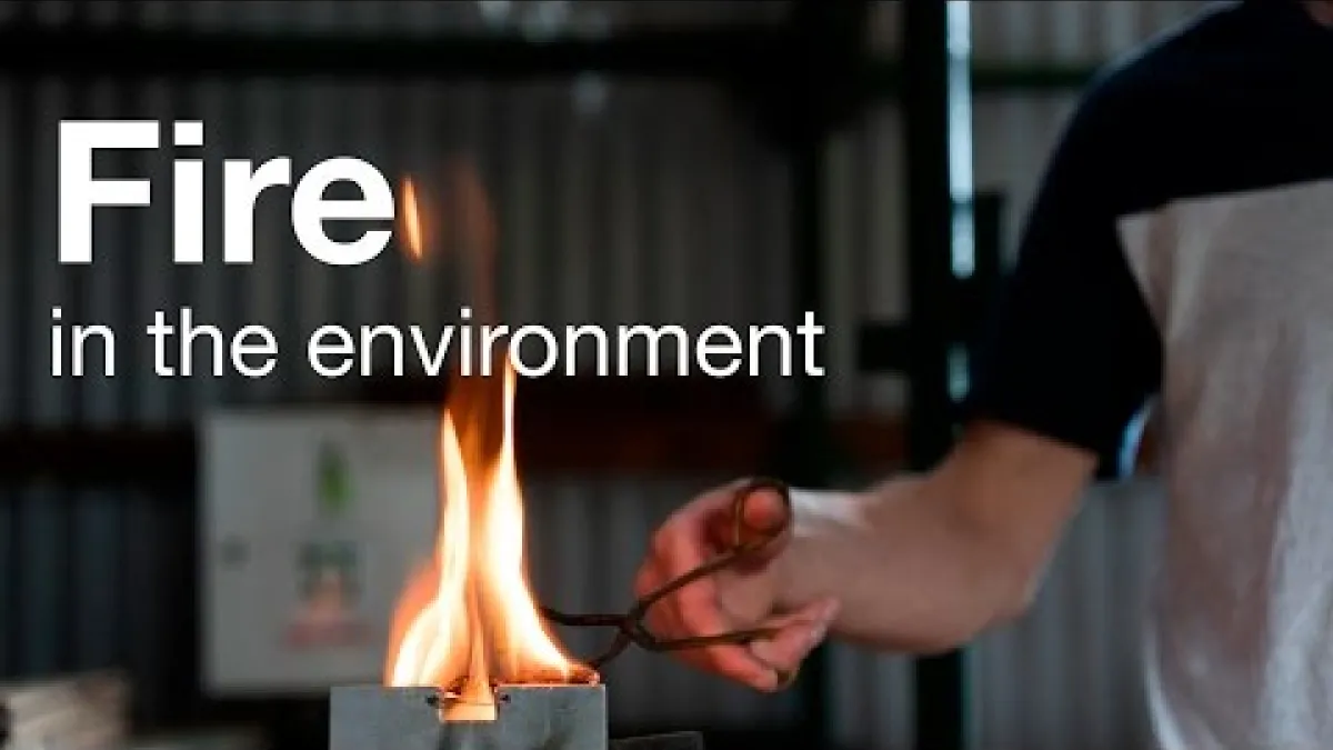 Preview image for the video "Fire in the Environment".