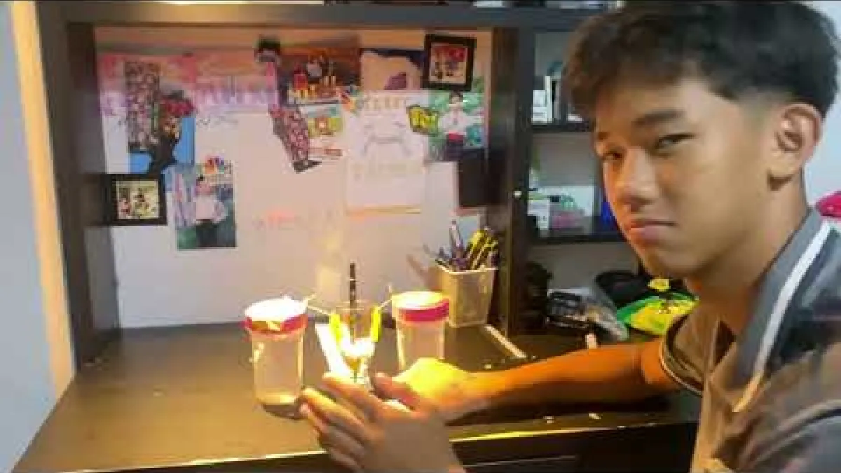 Preview image for the video "17 August 2025".