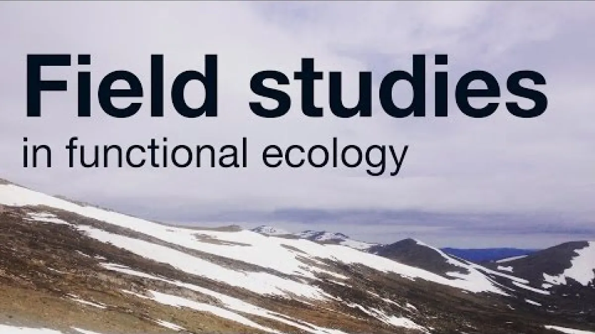 Preview image for the video "Field Studies in functional ecology at ANU".