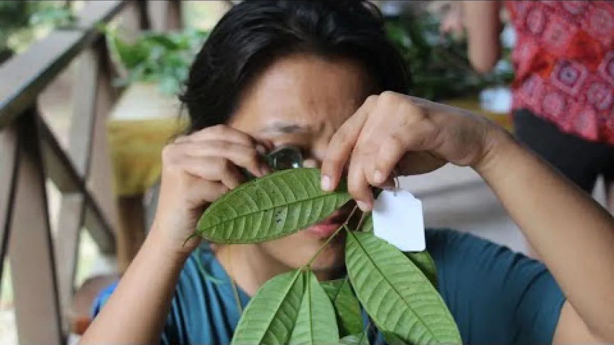 Preview image for the video "Advanced Field Studies in Functional Ecology".