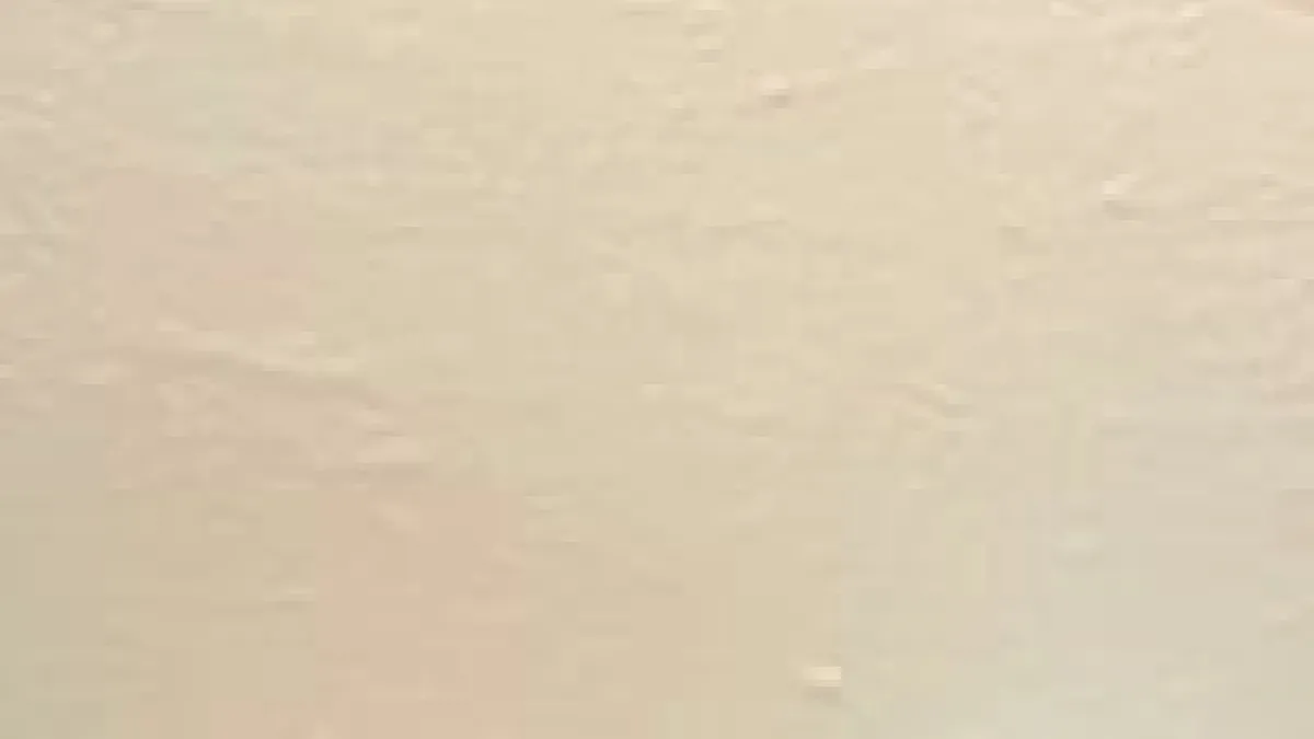 Preview image for the video "IMG_3829 2".