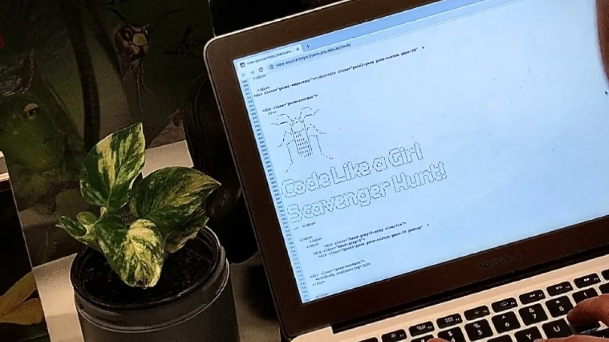 STEM challenges 2020