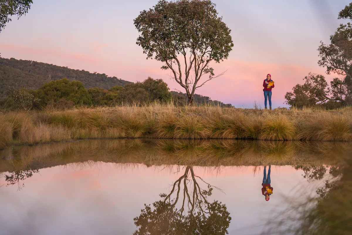 A woman stands at the edge of a dam in the bush at sunset