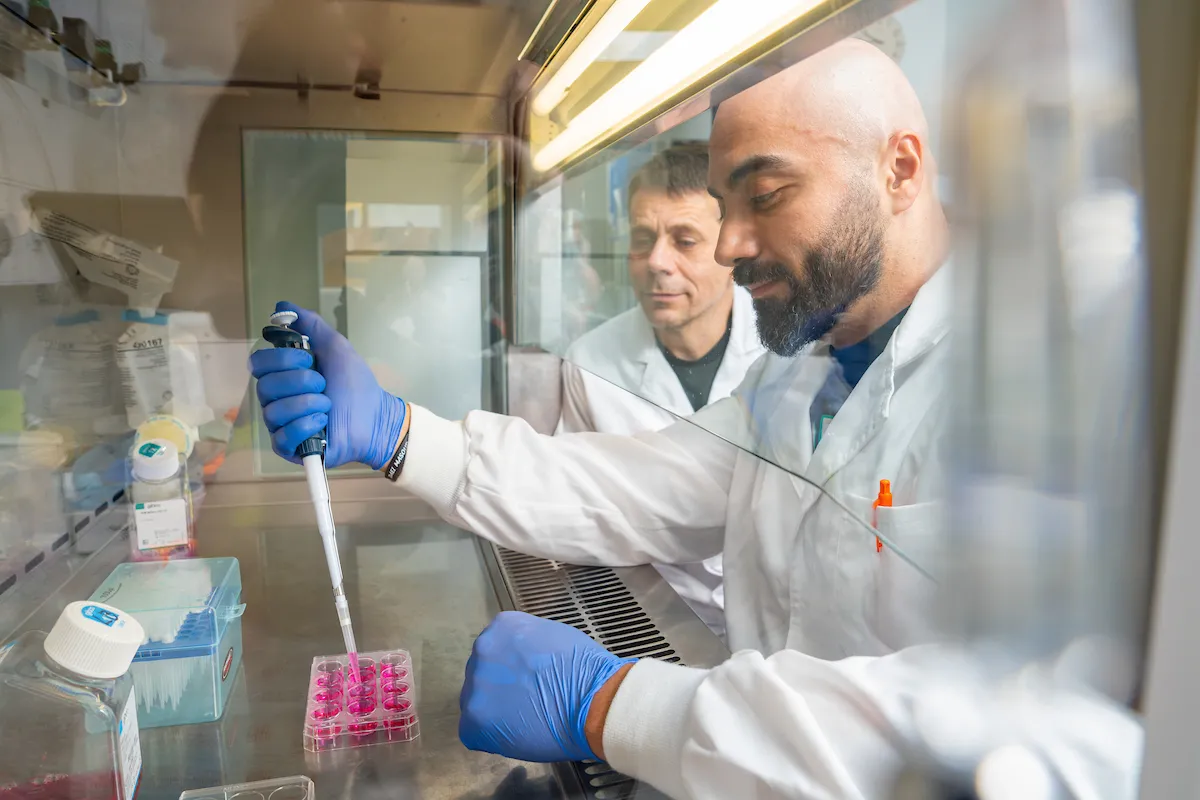 Two men in lab coats pipetting at a laminar flow bench