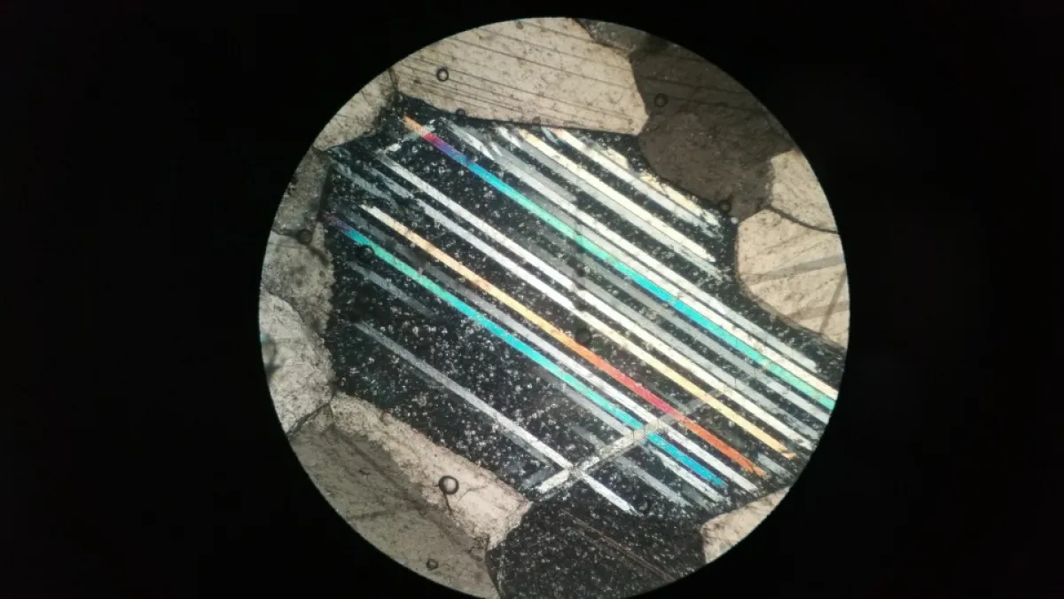 As You See It - 4606