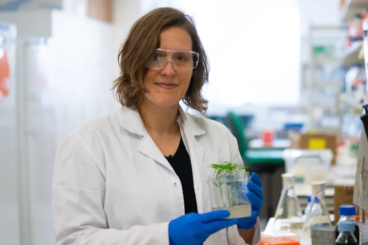 Woman in lab with small plant