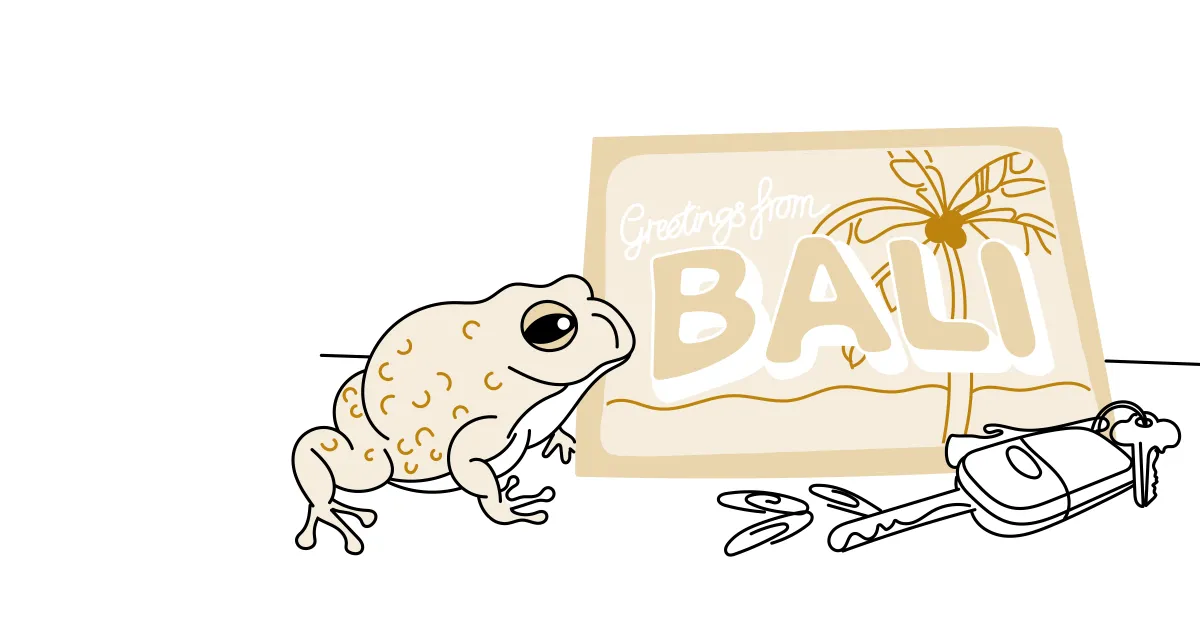 Line illustration of a frog next to a postcard.