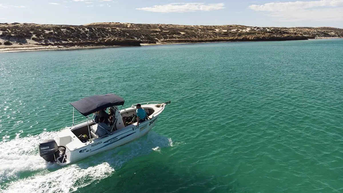 Ningaloo