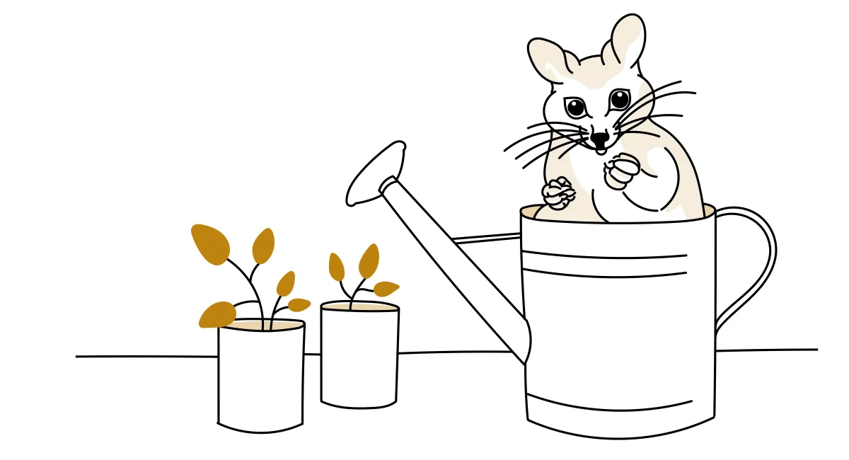 Line illustration of a possum in a watering can