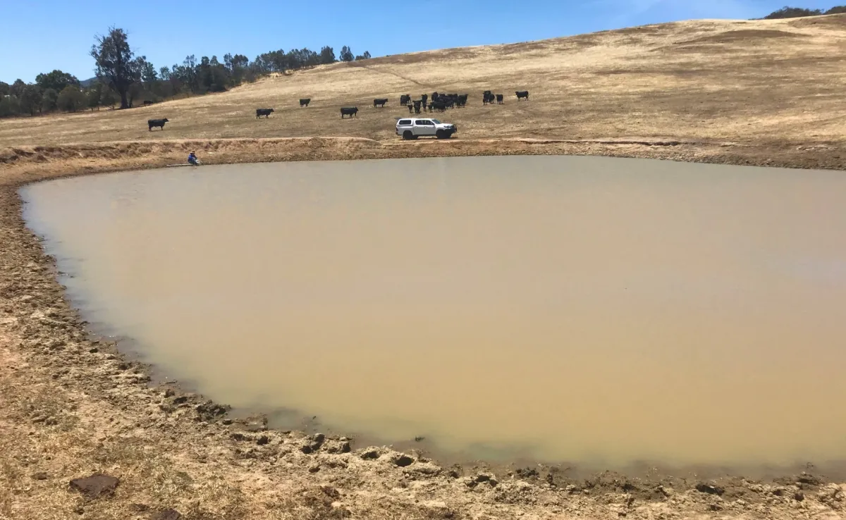 Farm dam