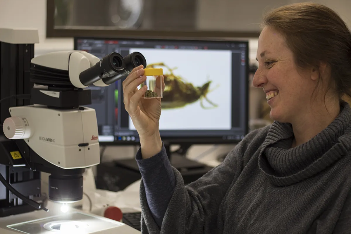 Dr Megan Head