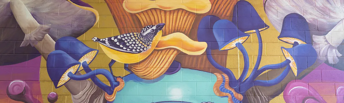 Street art
