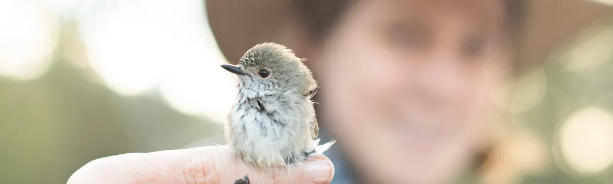 A person holding a bird