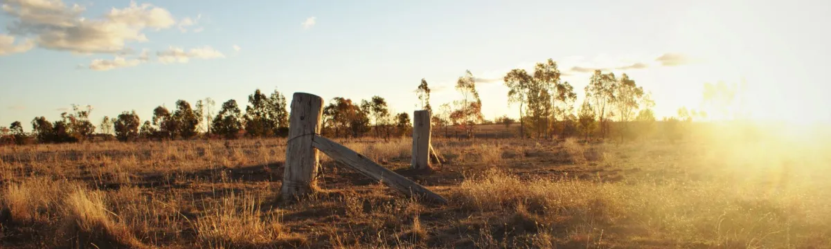 Farm landscape at sunset