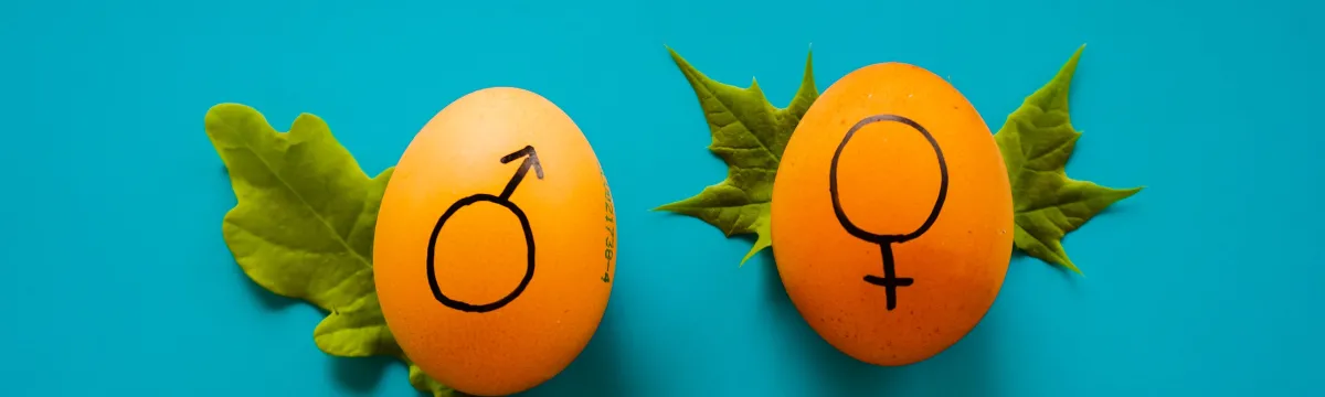 Two eggs on a blue background, each with a symbol: one with a male symbol and the other with a female symbol, both decorated with green leaves.