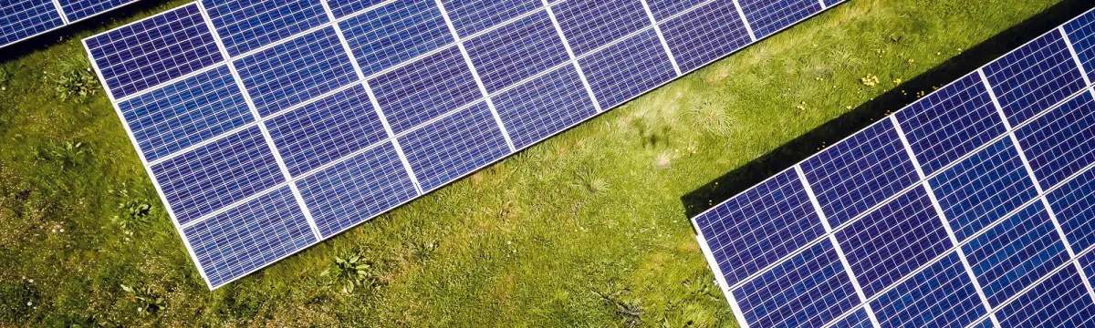 Aerial view of multiple rows of solar panels installed on green grass.