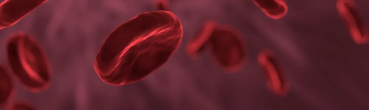 Computer generated image of red blood cells