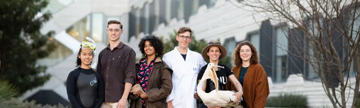 Vertical double degree Pathways - cover