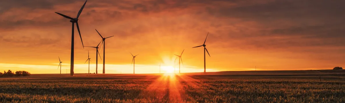 Clean energy wind farm