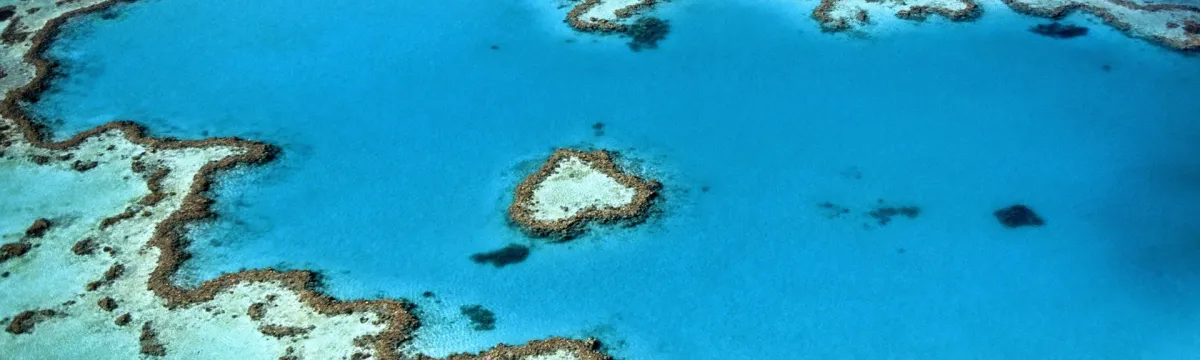 Aerial shot of reef