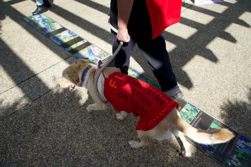 A dog dressed in red marching for science