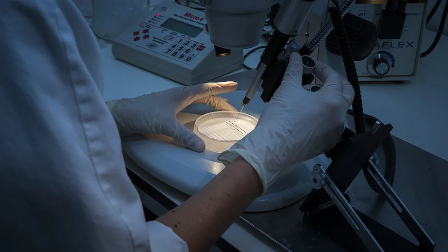 Researching a new approach to chemical catalysis