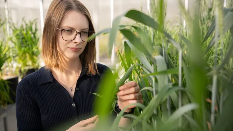 Dr Samantha McGaughey inside a greenhouse with plants