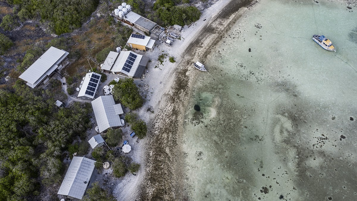 One Tree Island research station from the air.