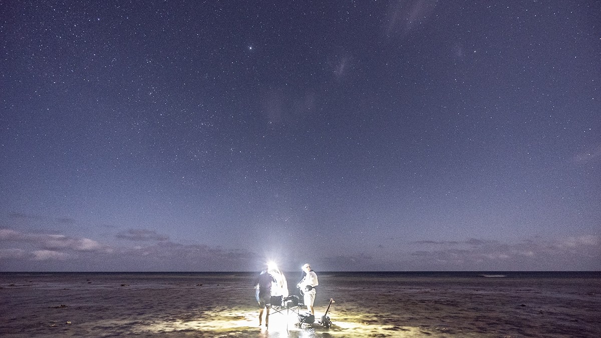 ANU researchers on the reef flat at night.