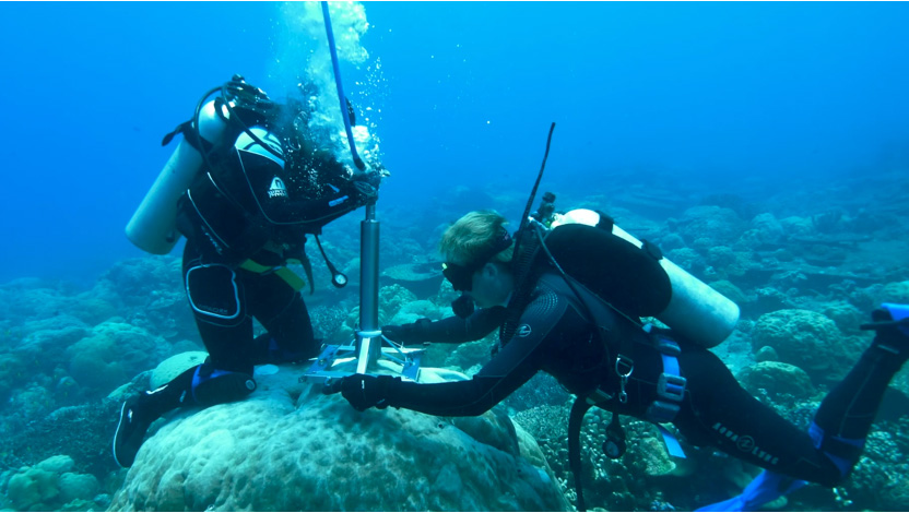 Divers underwater extracting coral core samples