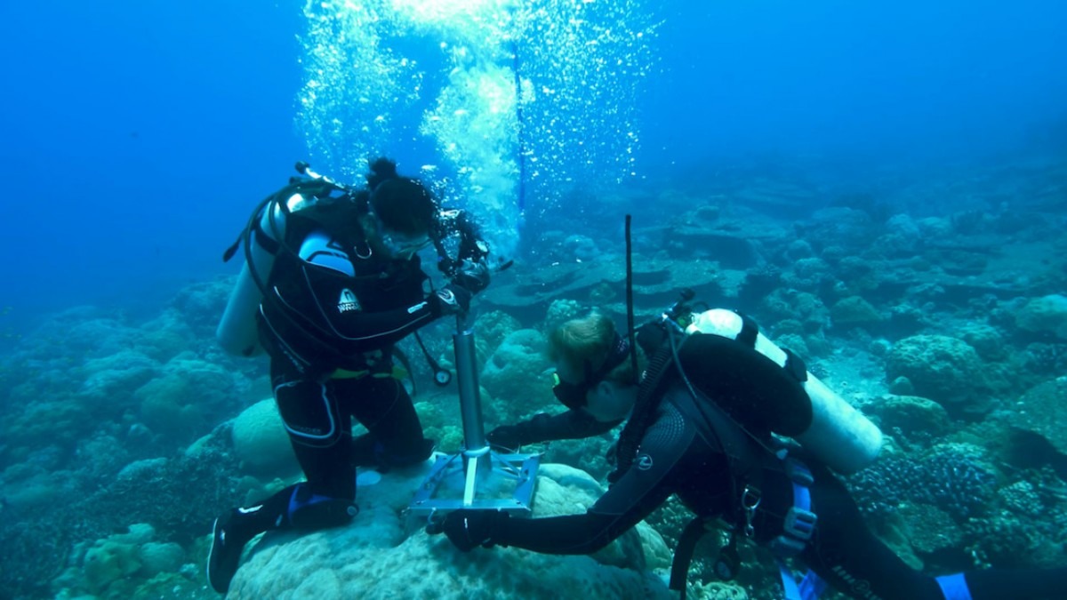 Researchers collecting coral core samples.