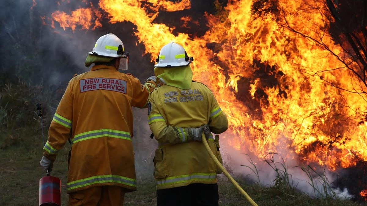 2019 was a year of unprecedented bushfires. Jason O'Brien/AAP