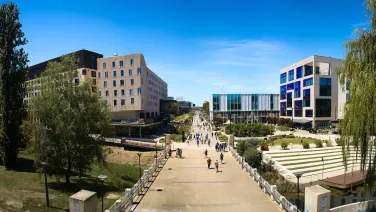 University avenue through Kambri precinct with buildings and trees.