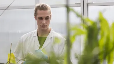 Plant science