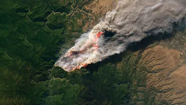 Image of a bushfire