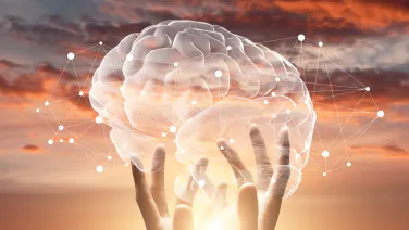An image of two hands holding a holographic brain