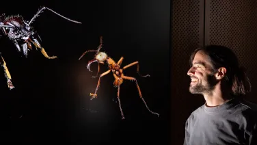 Dr Philipp Loesel is looking at detailed 3D scans of on a large display monitor.