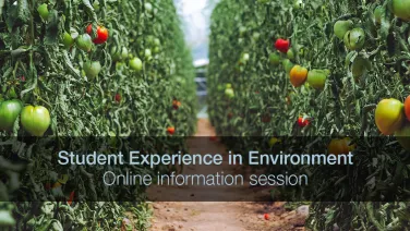 Environment Student Experience Webinar - webinar thumbnail