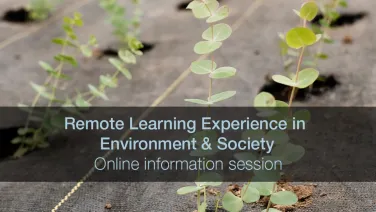 Remote learning student experience panel - Environment - webinar thumbnail