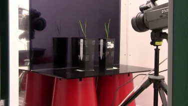 A camera pointing at two plants