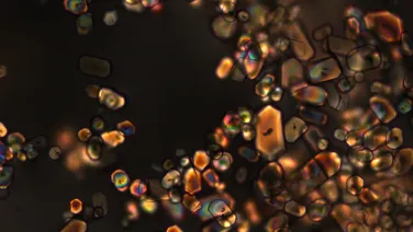 olivine