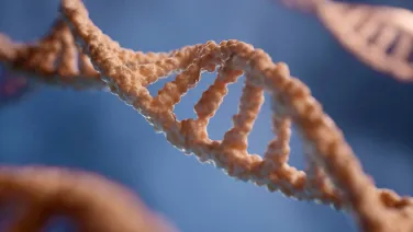 RNA