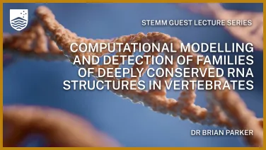 Computational Modelling