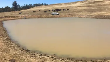 Farm dam