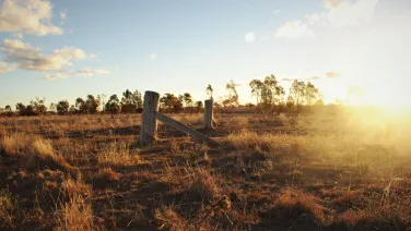 Farm landscape at sunset