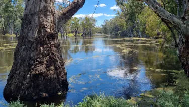 River landscape