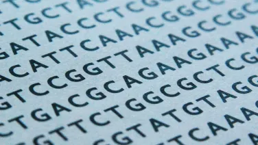 DNA sequence printed on paper