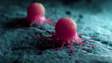 Two pink cancer cells on teal green background.