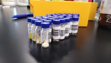 Multiple small sample bottles with blue caps, containing various substances, are lined up on a laboratory bench.