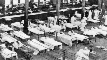 We should listen to coronavirus experts, but local wisdom counts too